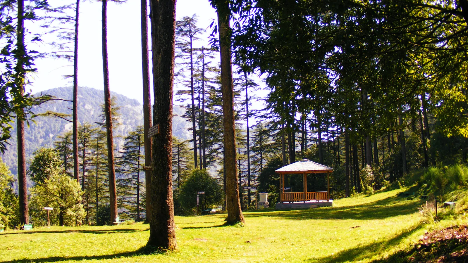 Drive Kanatal to Tehri — Lake Boating & Lakeside Stay