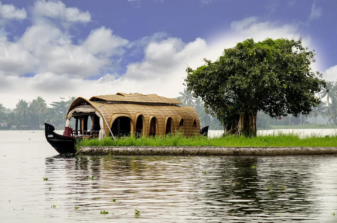 The Soul of Kerala - Cochin, Munnar, Thekkady & Alleppey photo 3