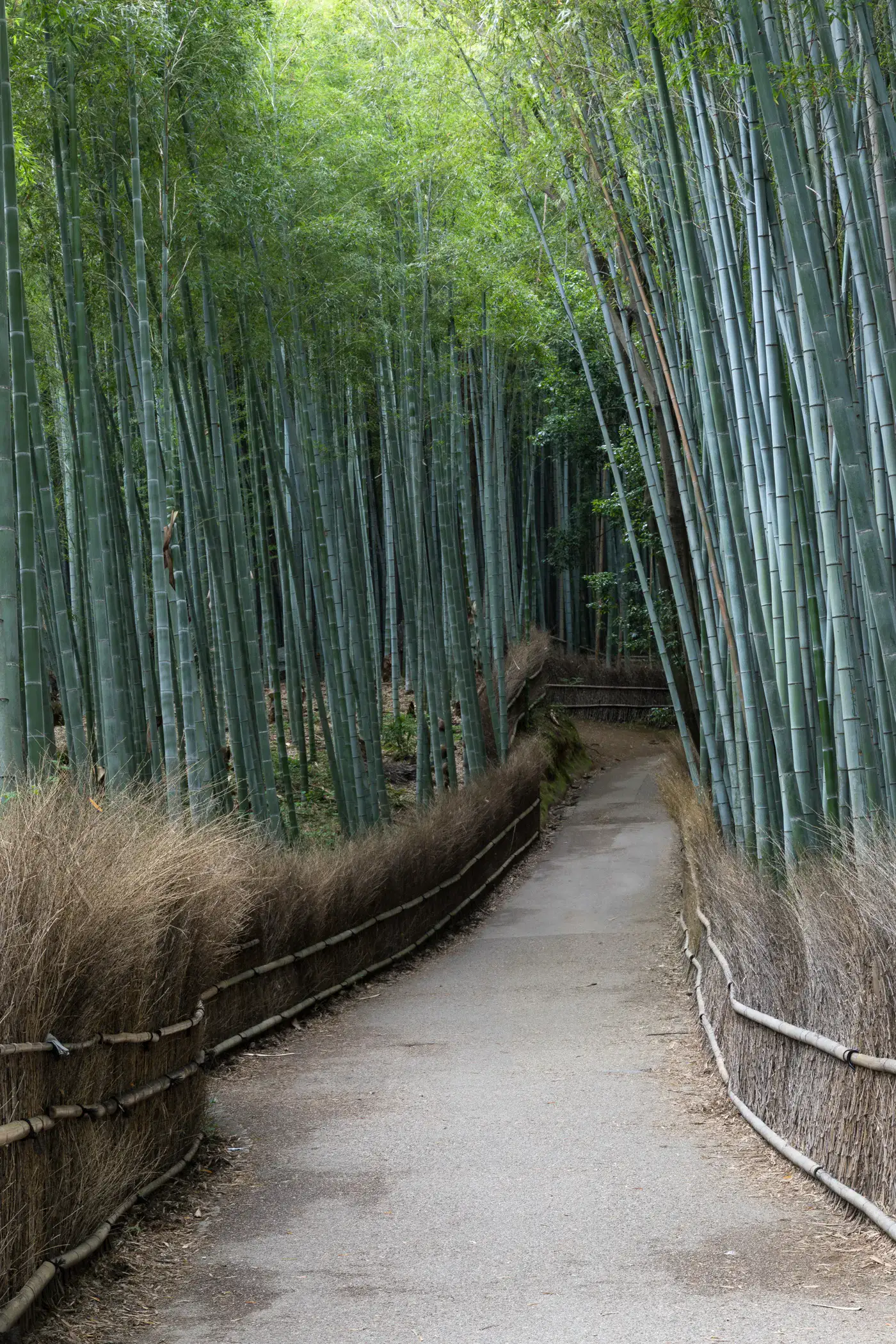 Japan gallery 5