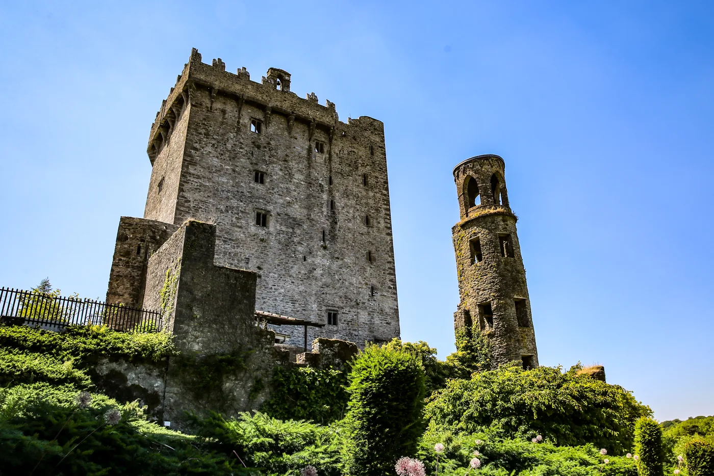 Ireland gallery 6