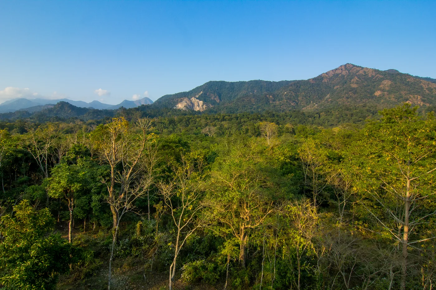 Dooars Wildlife Circuit - Buxa, Jaldapara & Gorumara