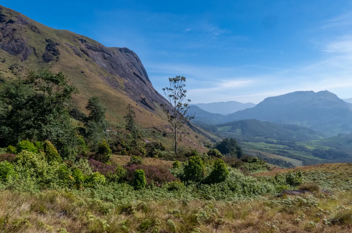Kerala 8 Days - Cochin, Munnar, Thekkady, Alleppey & Kovalam photo 2