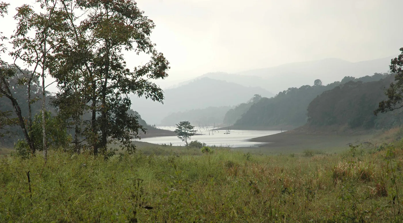 The Ultimate Kerala Escape - Cochin, Munnar, Thekkady, Alleppey & Kovalam photo 2
