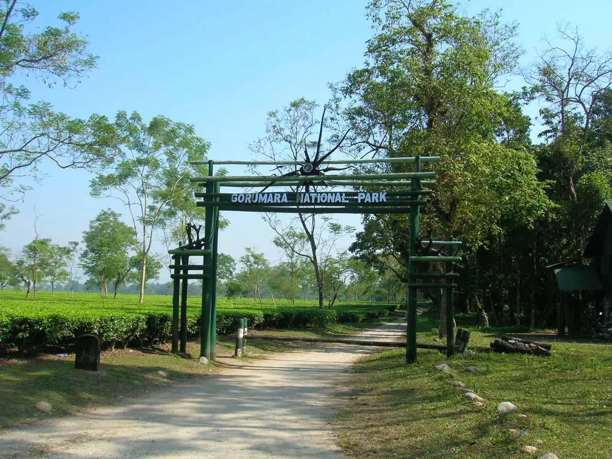 Dooars Wildlife Circuit - Buxa, Jaldapara & Gorumara photo 3