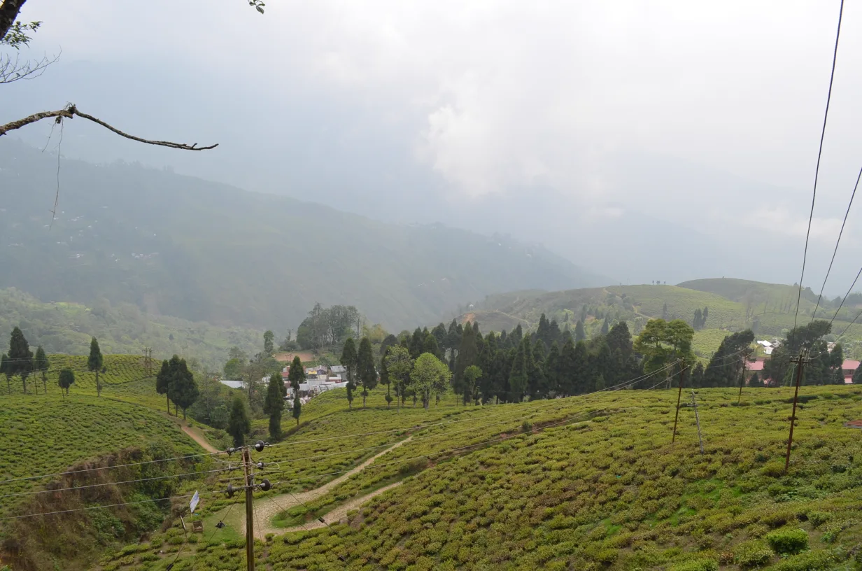 Darjeeling & Gangtok - Classic Twin-Hills Circuit photo 2