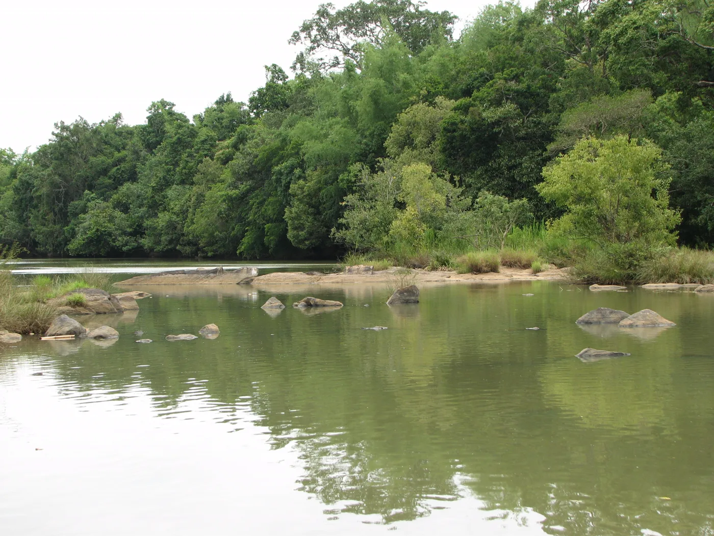 Coorg & Wayanad - Mysore, Coorg Plantations & Wayanad Wildlife photo 3