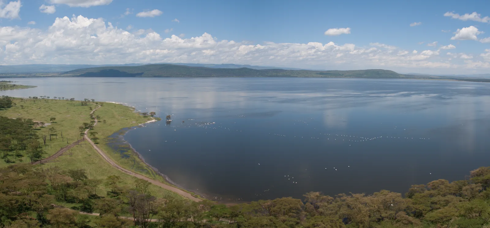 Kenya gallery 13