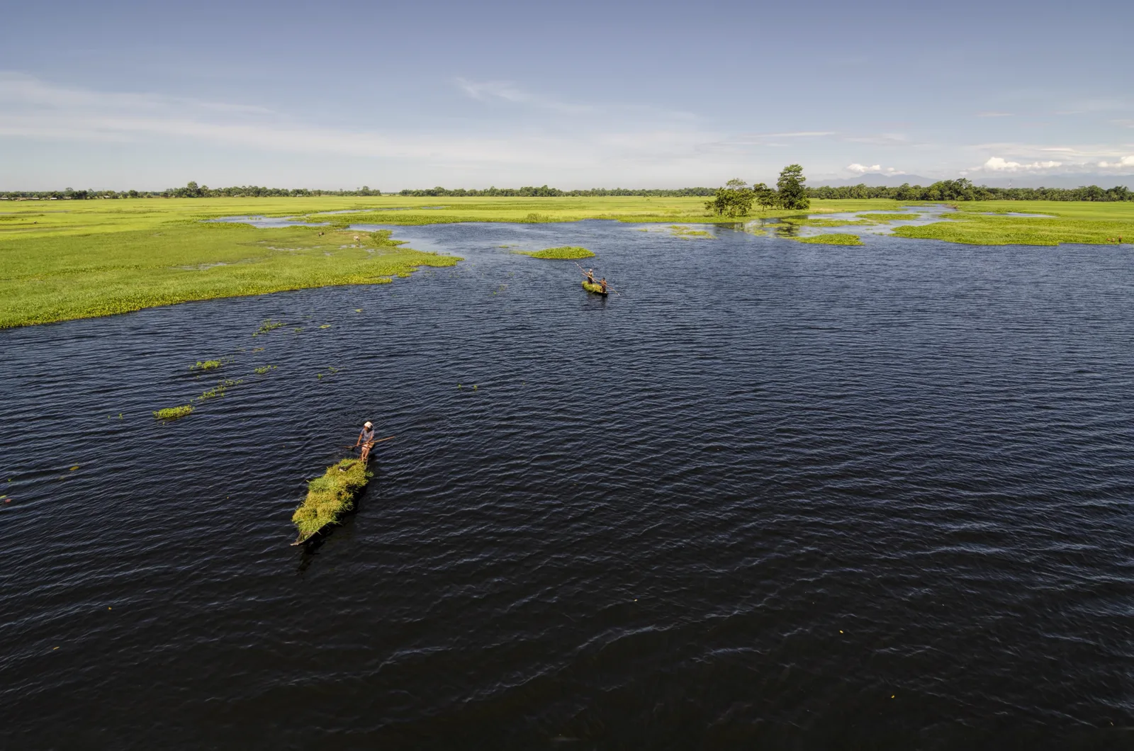 Assam gallery 8