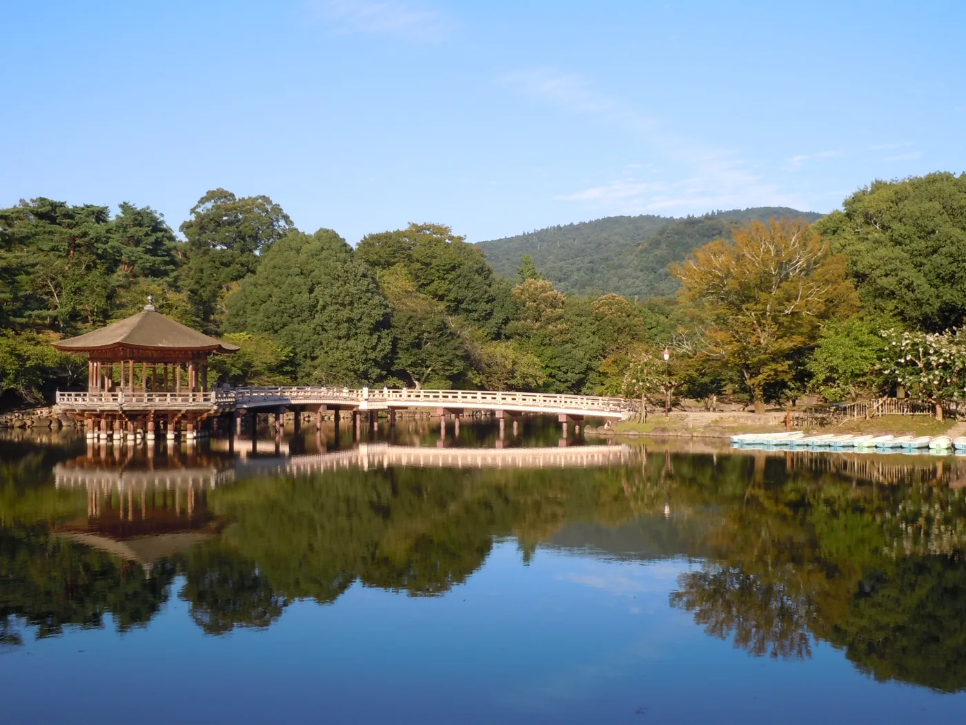 Japan gallery 6