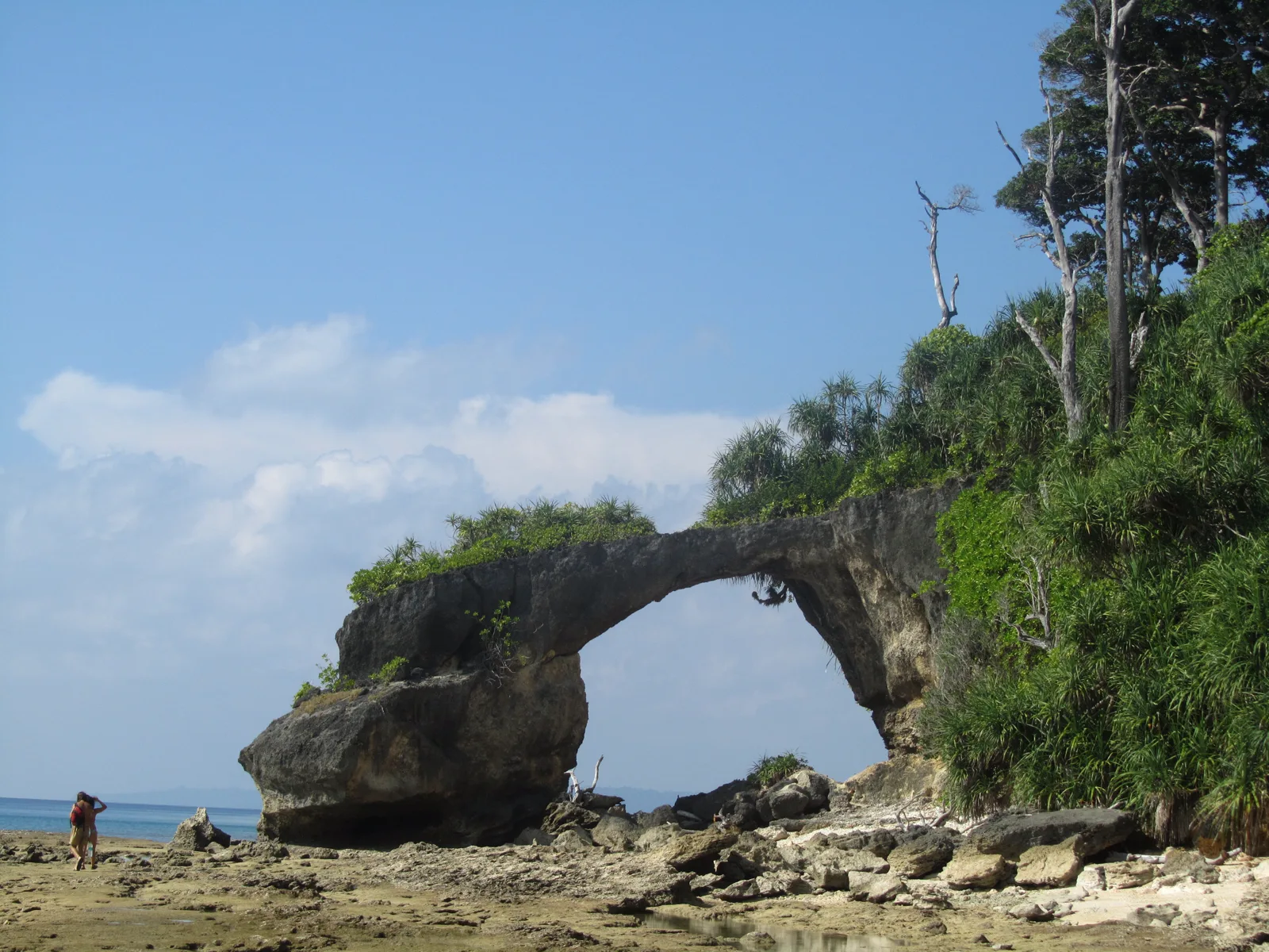 Andaman Islands gallery 9