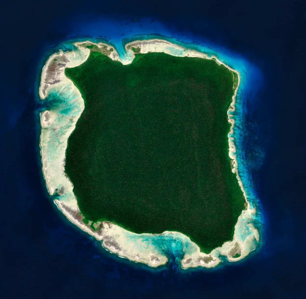 Andaman Islands gallery 11
