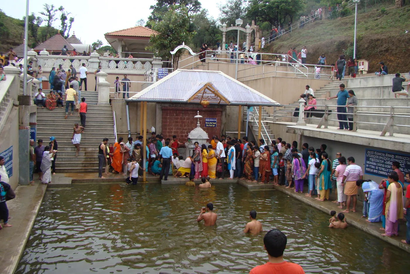 Coorg & Wayanad - Mysore, Coorg Plantations & Wayanad Wildlife photo 2