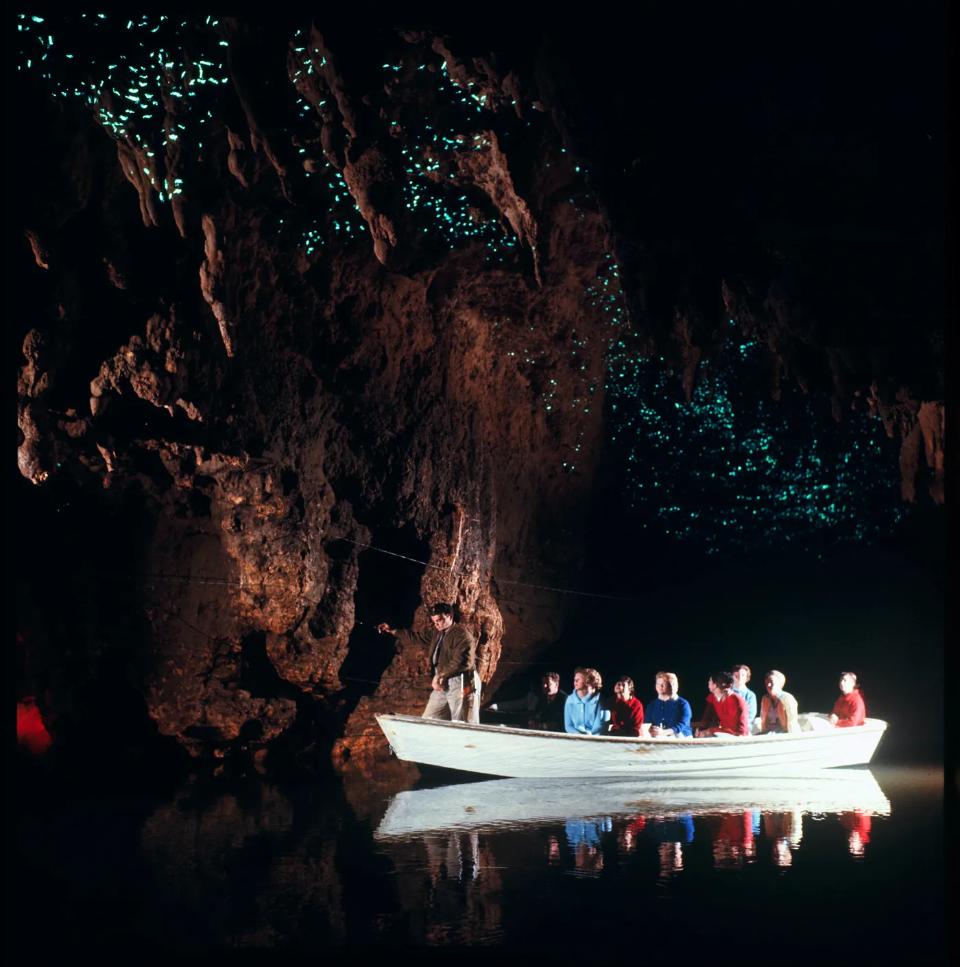 New Zealand gallery 4