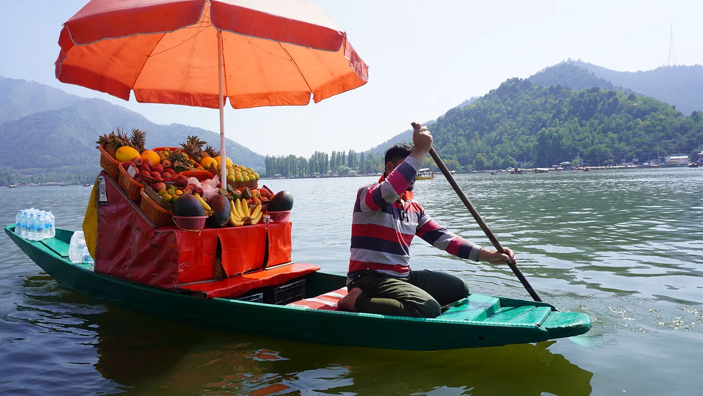 Srinagar Arrival