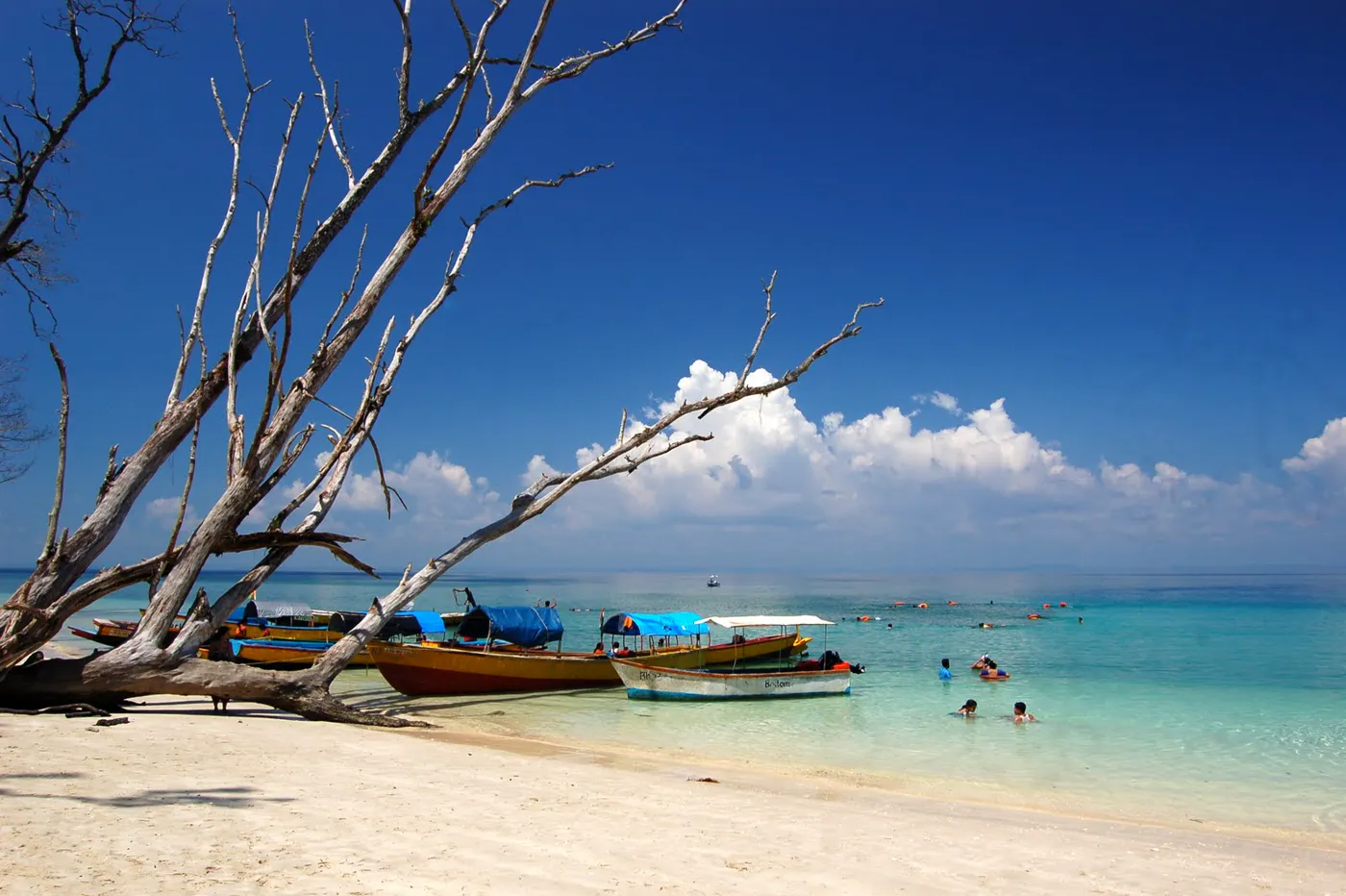 Andaman Islands - Port Blair, Havelock & Neil (6 Days) photo 2