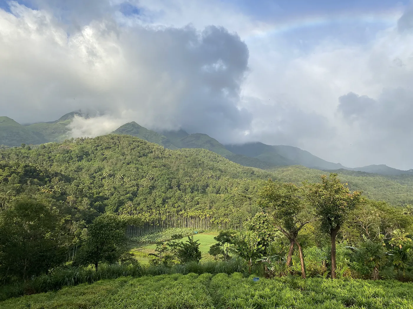 Coorg & Wayanad - Mysore, Coorg Plantations & Wayanad Wildlife photo 4