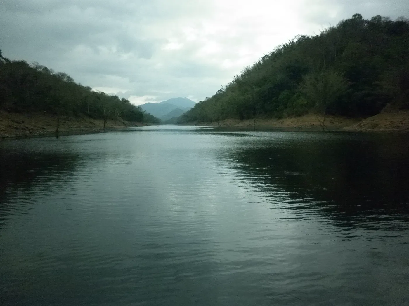 A Kerala Sojourn - Munnar, Thekkady, Alleppey & Kovalam photo 2