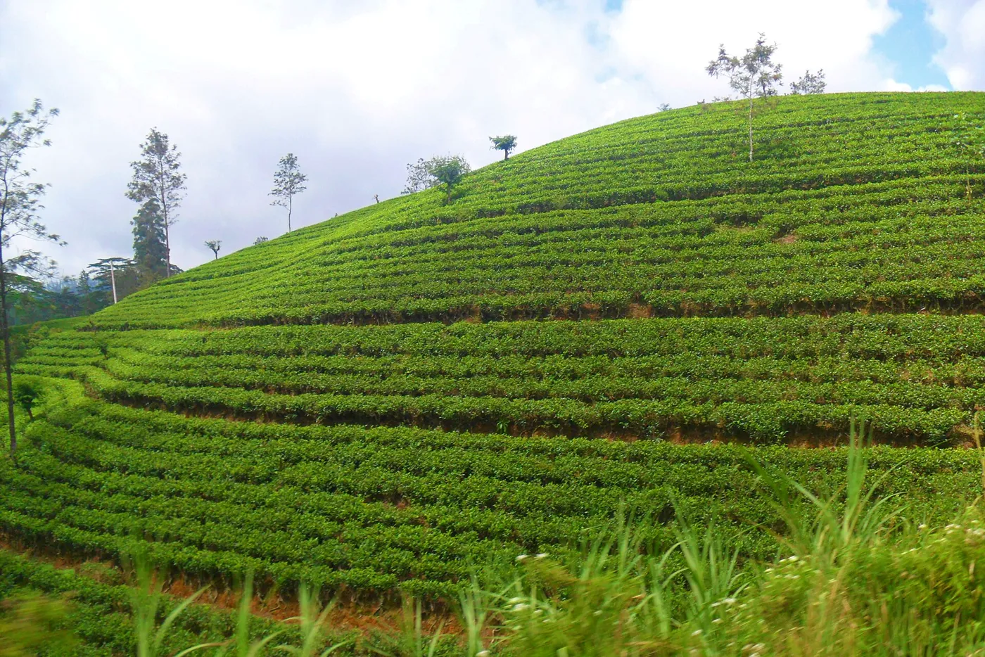 Sri Lanka gallery 4
