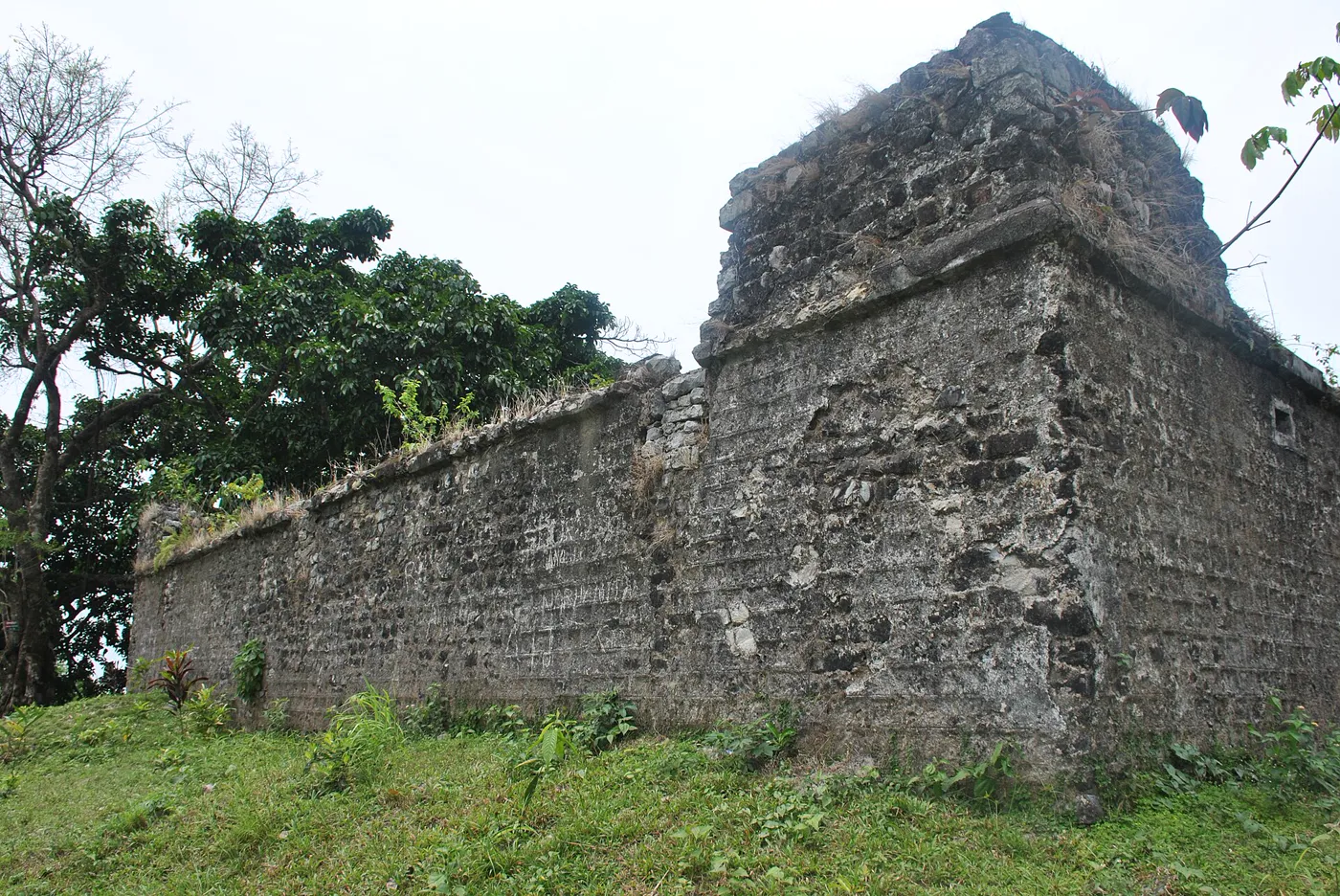 Dooars Wildlife Circuit - Buxa, Jaldapara & Gorumara photo 1
