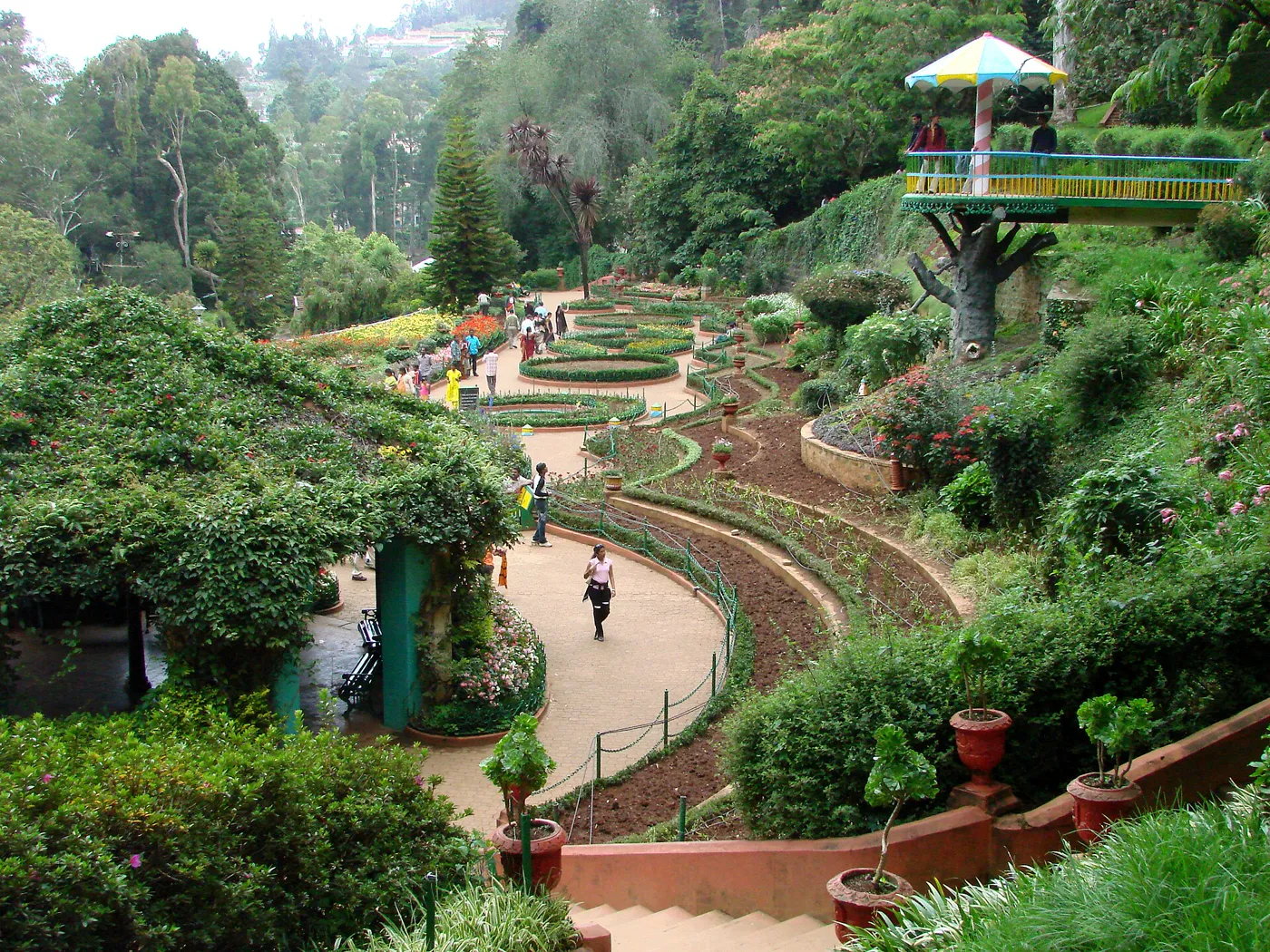 Royal & Hilly Sojourn - Mysore, Coorg & Ooty photo 3