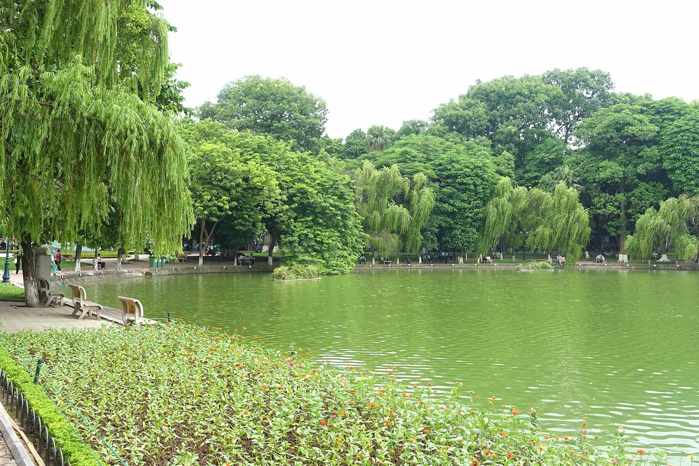 Vietnam Classic - Hanoi, Sapa, Da Nang & Hoi An