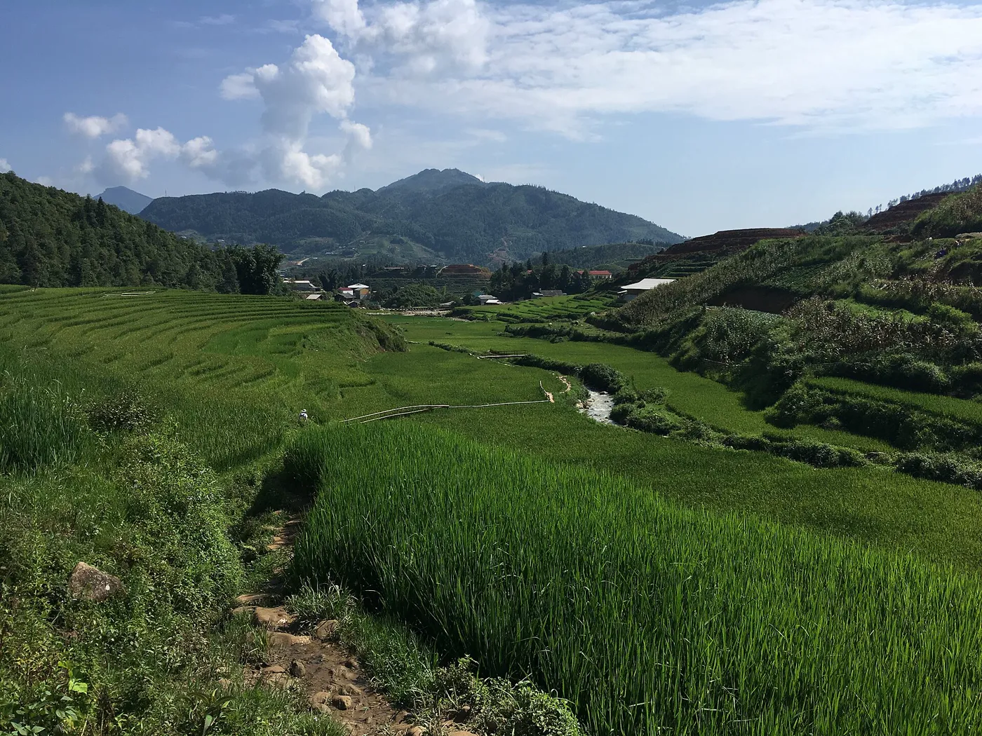 Vietnam Classic - Hanoi, Sapa, Da Nang & Hoi An photo 2