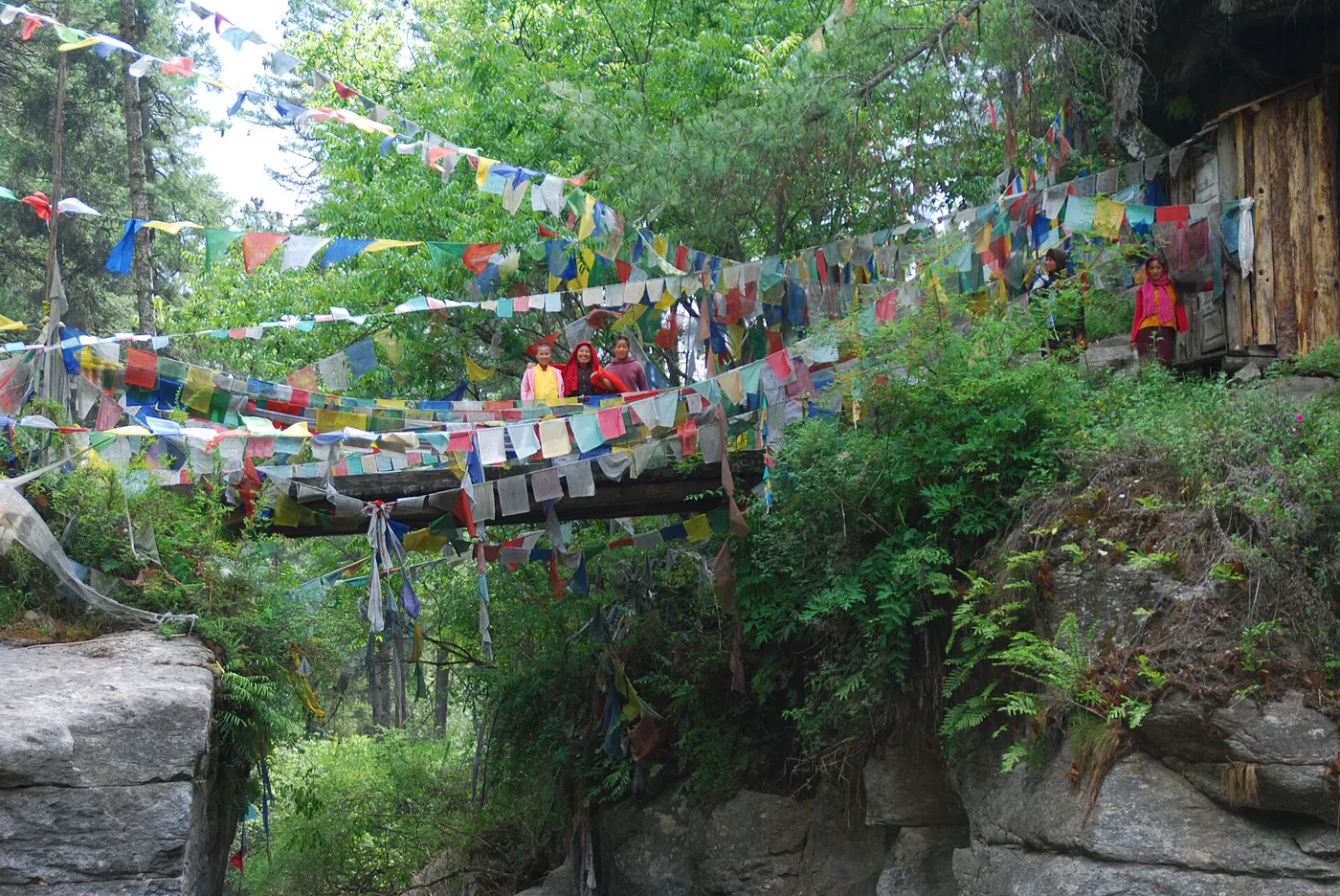 Bhutan Grand - Western + Central + Phobjikha Crane Valley (12 Nights) photo 3