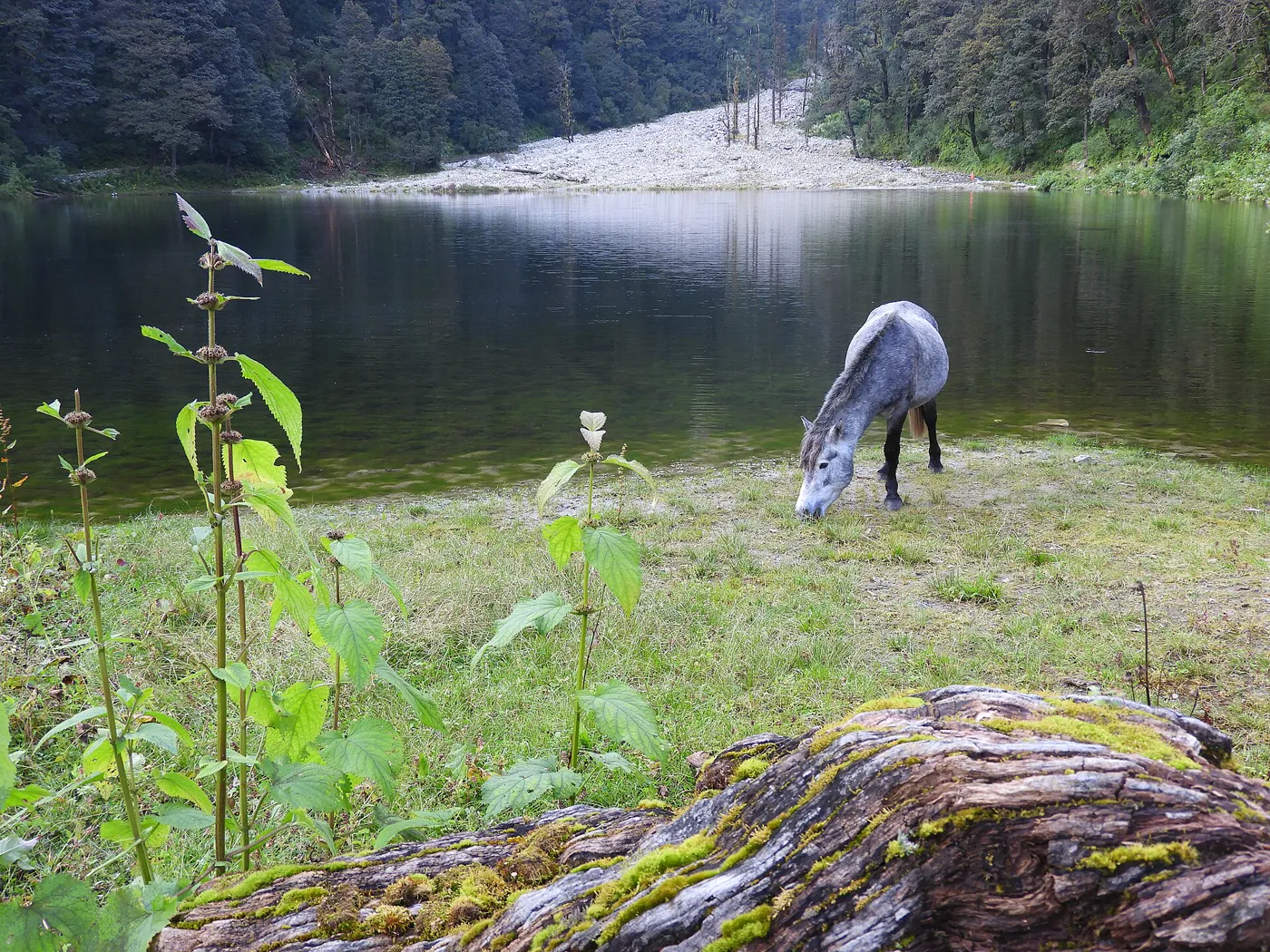 Dodital Lake Trek