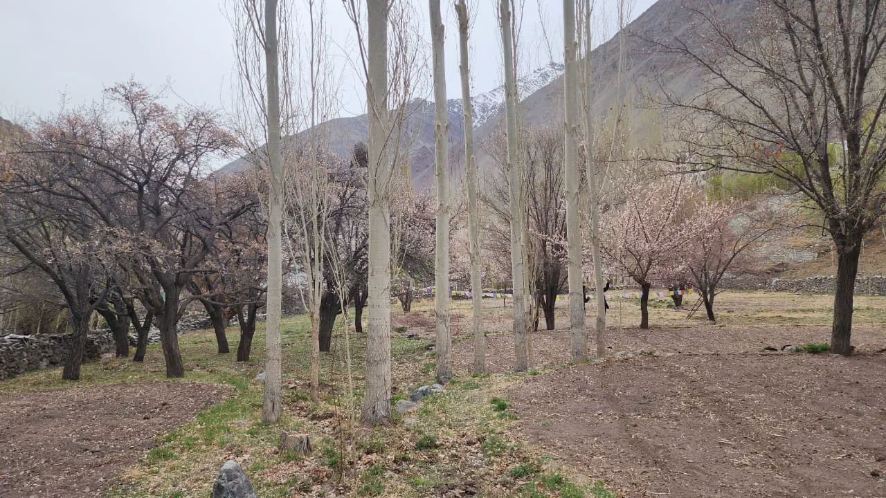 Sham Valley Trek photo 3