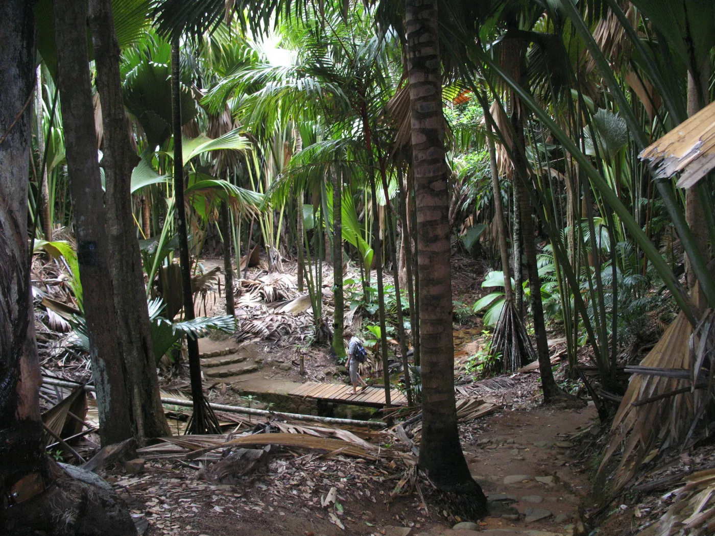 Seychelles Island Hopping - Mahé, Praslin & La Digue photo 2