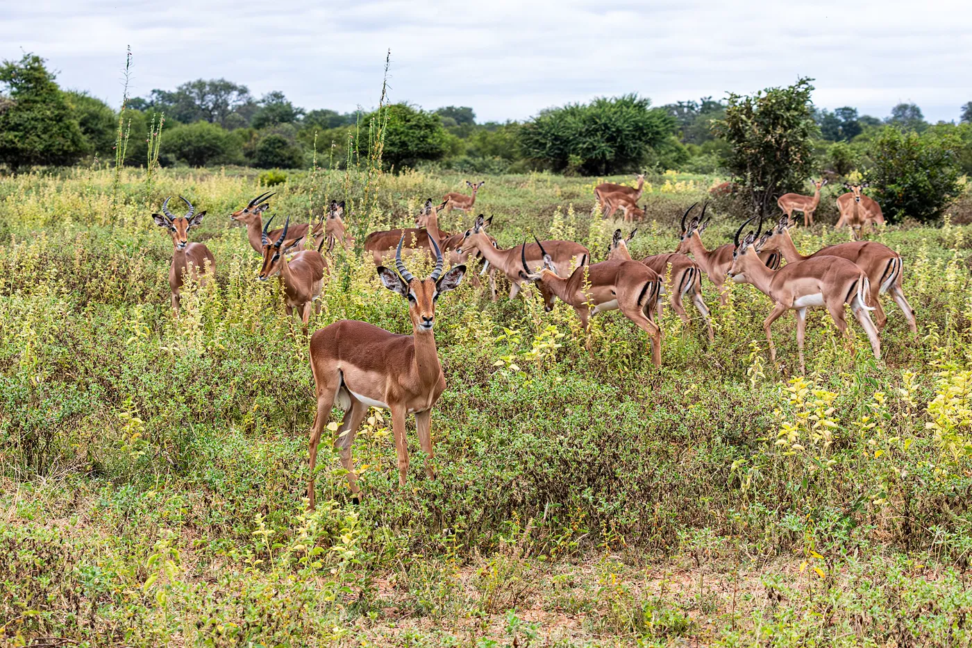 Kruger Safari & the Garden Route