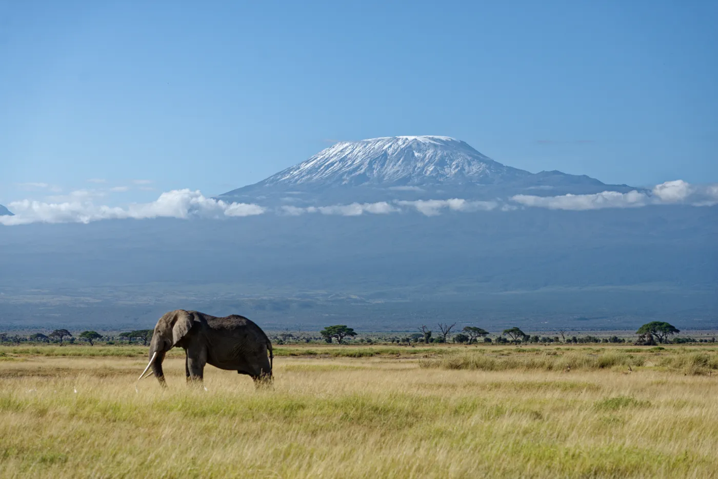 Kenya gallery 2