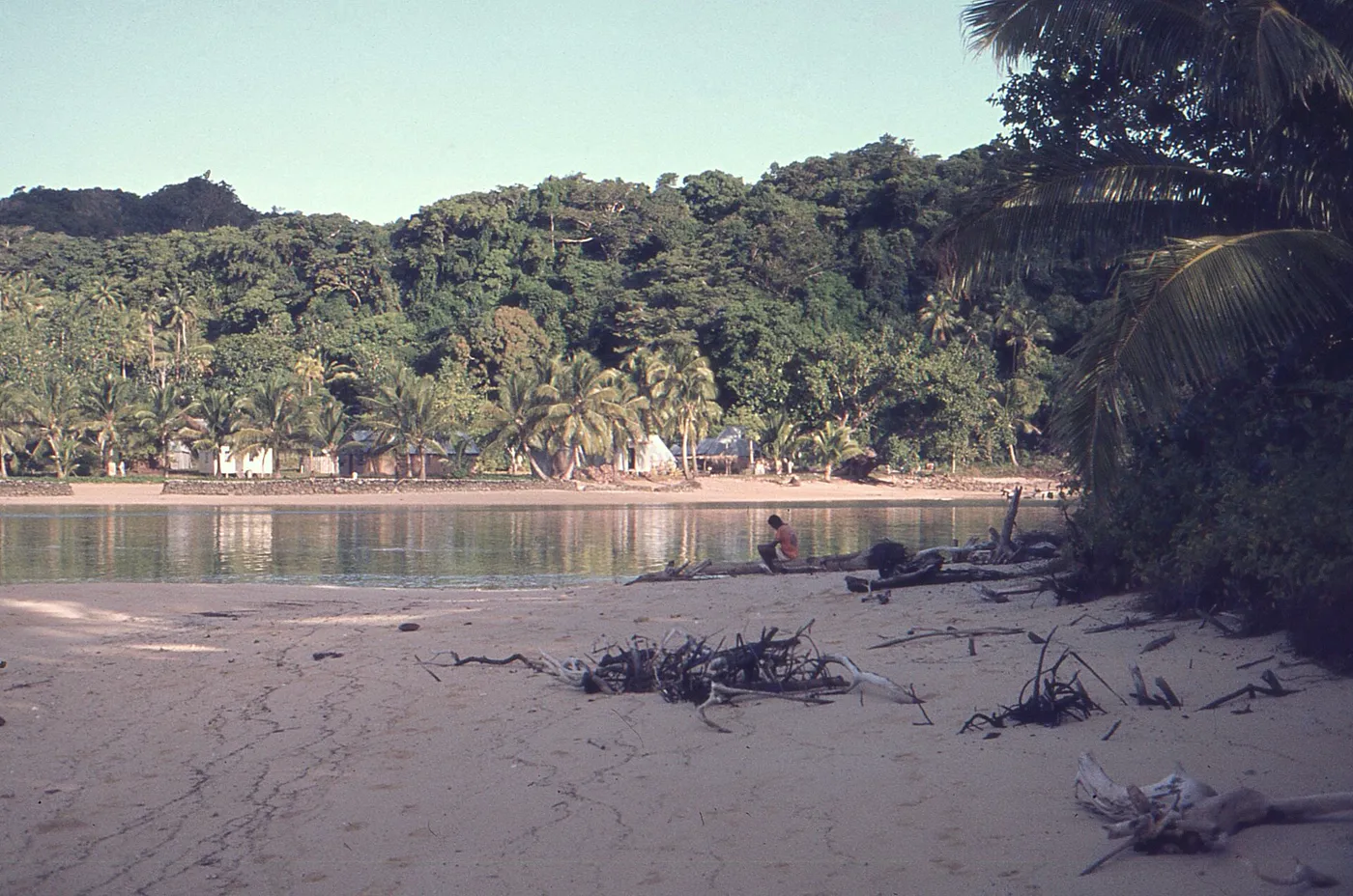 Coral Coast & Cultural Fiji photo 2