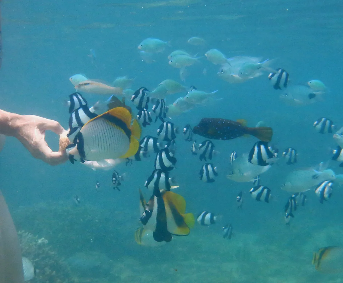 Reunion Lagoons & Beaches photo 2