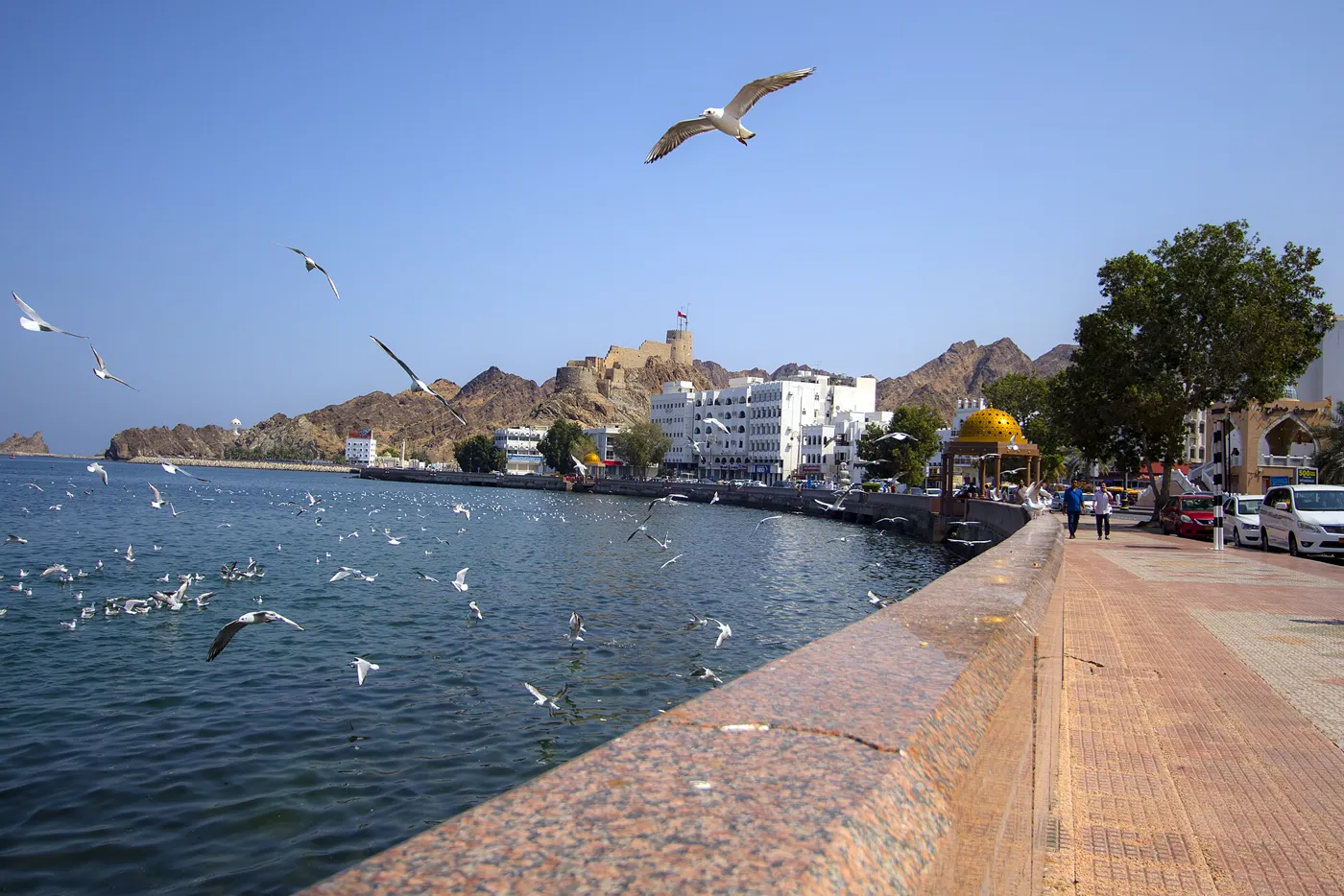 Muscat & Wahiba Sands photo 2