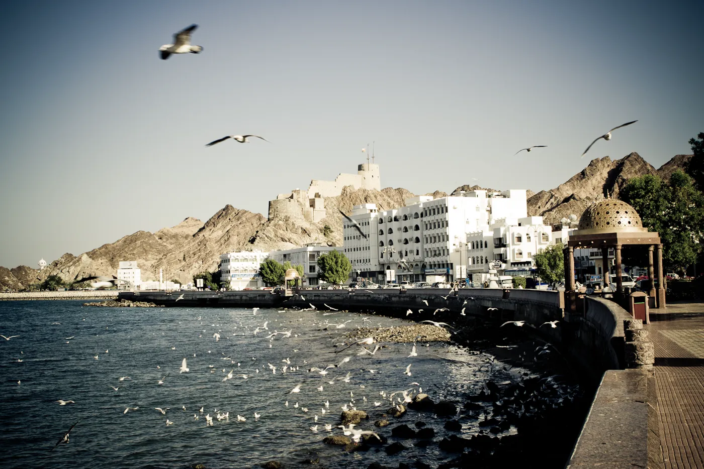 Oman gallery 1
