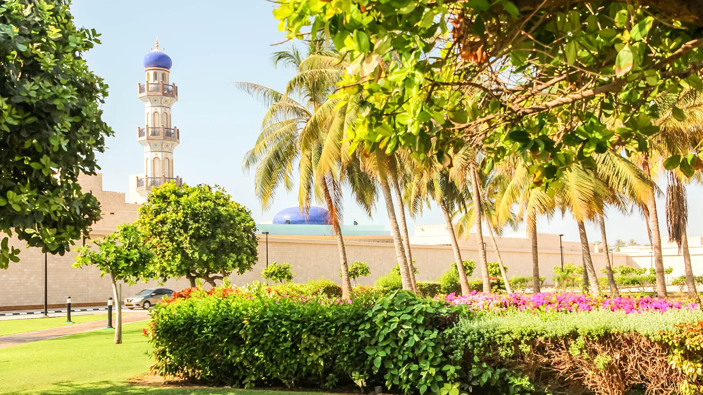 Arrive Salalah
