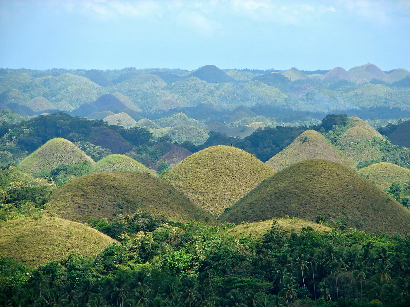 Cebu & Bohol Islands