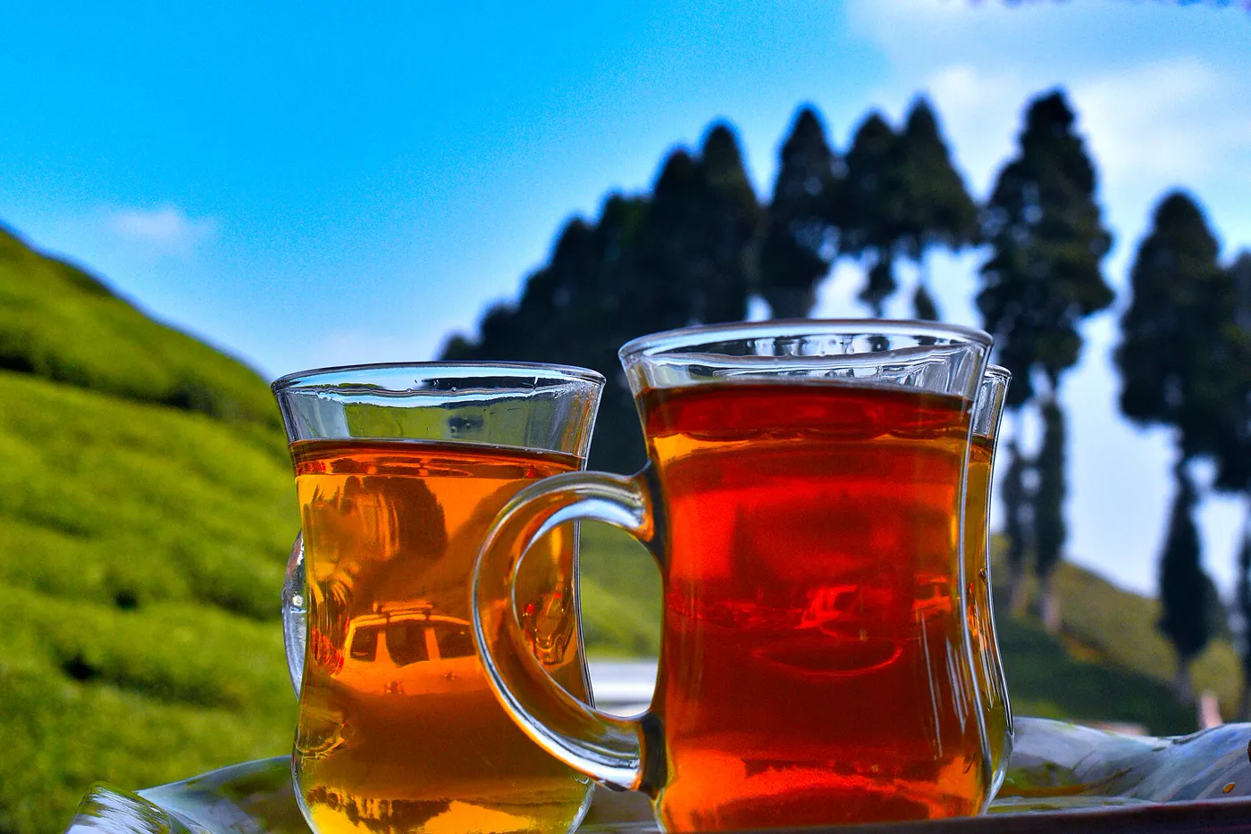 Darjeeling Chai Stall