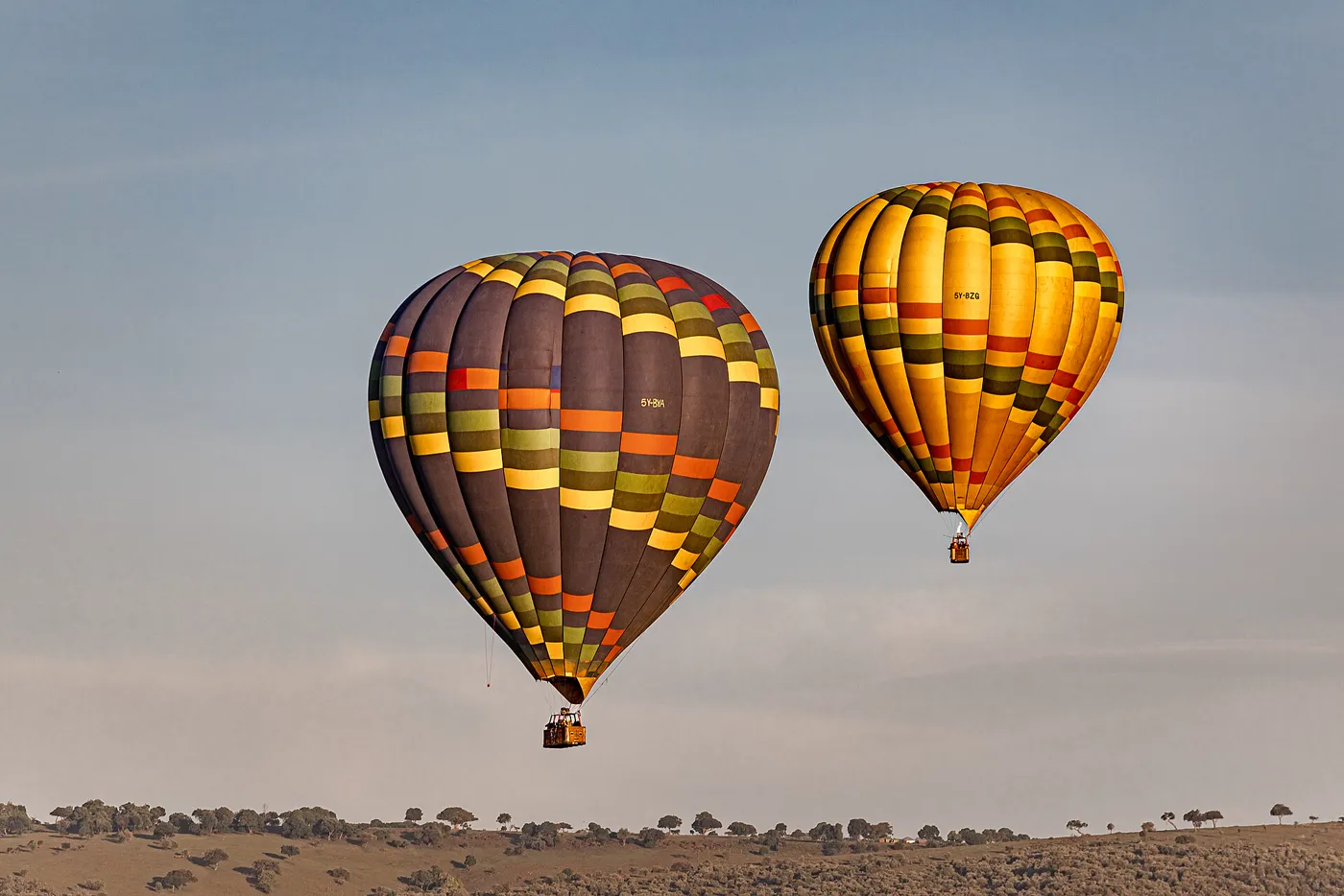 Kenya gallery 4