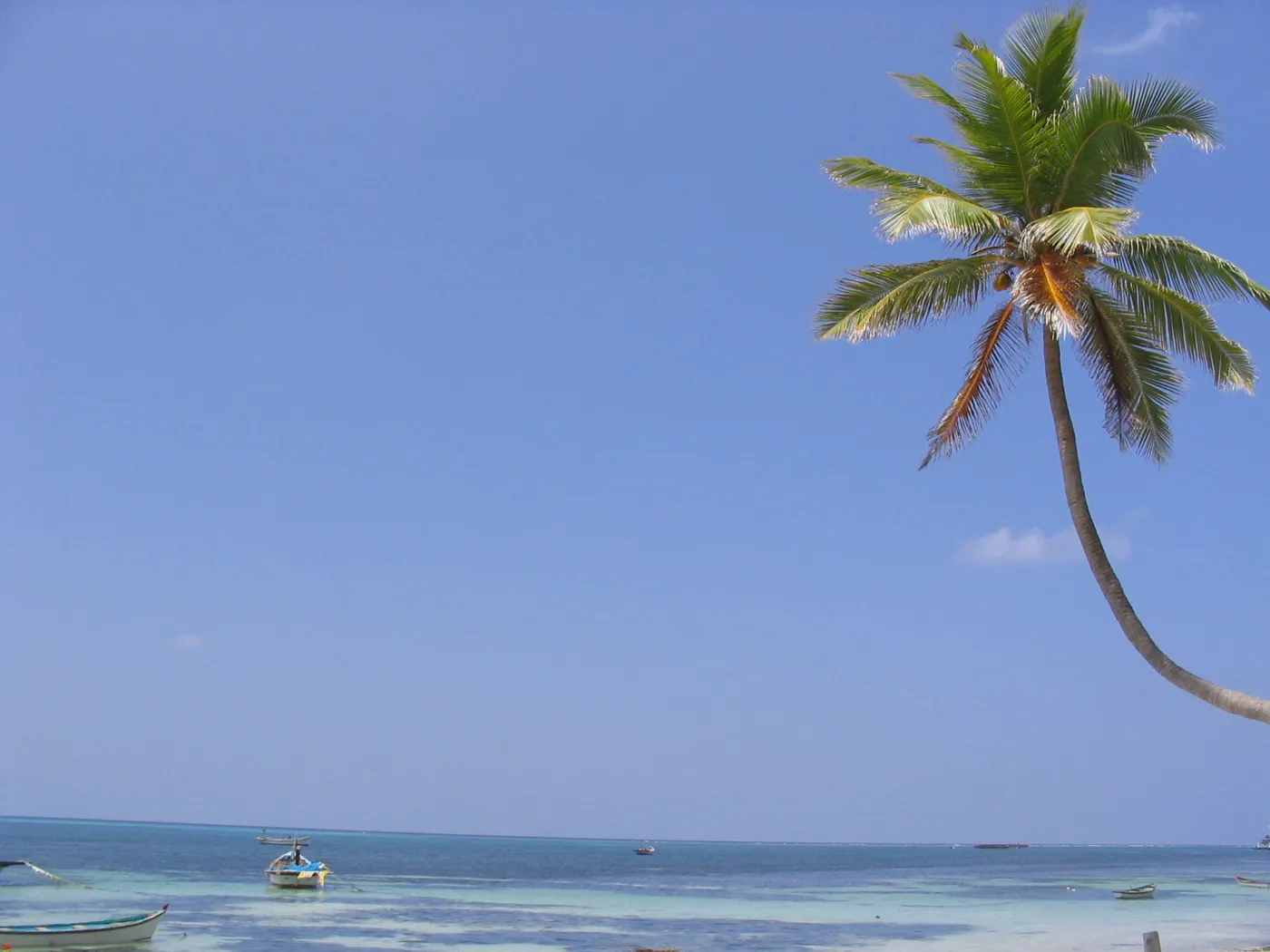 Lakshadweep gallery 3
