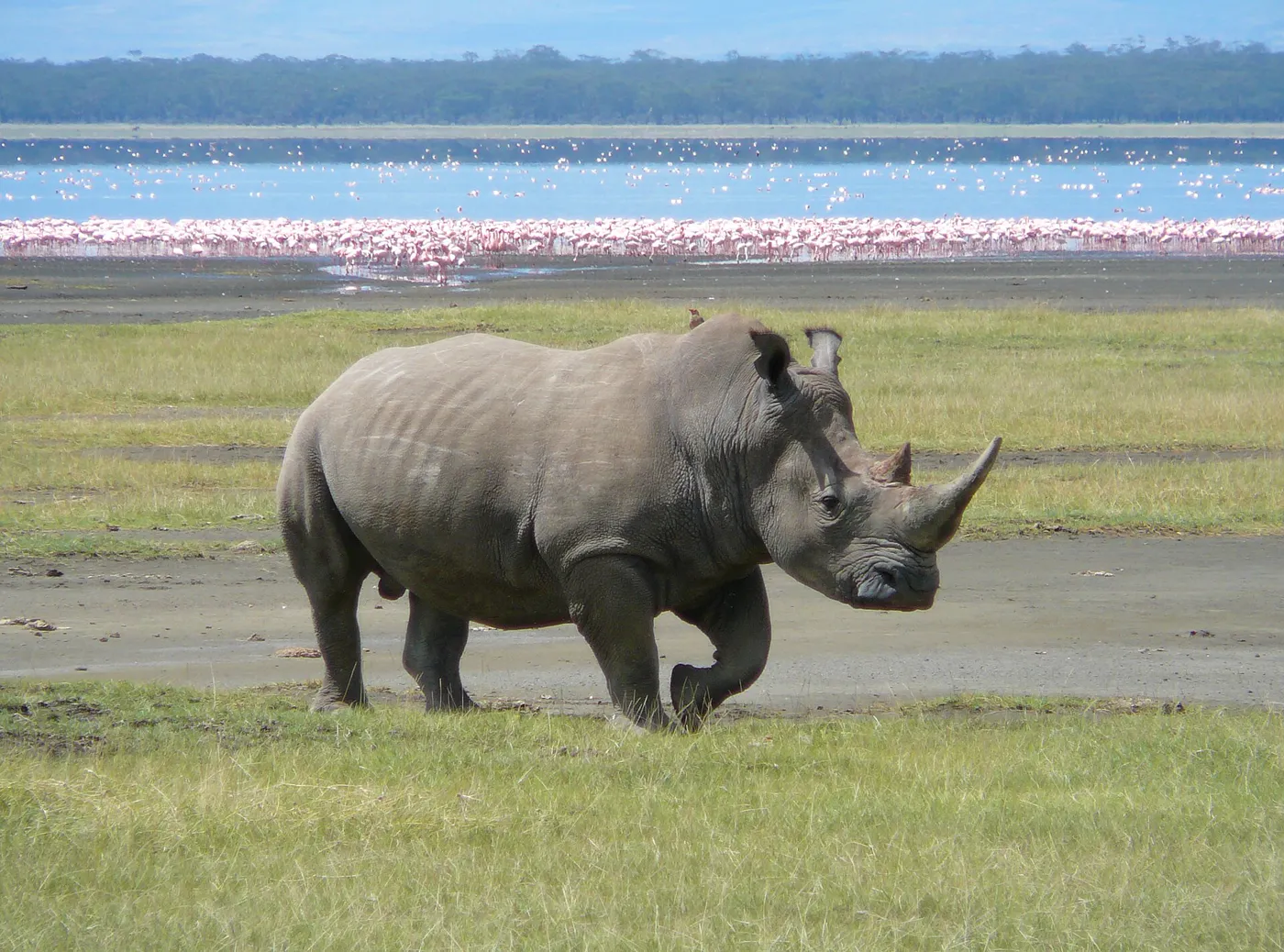 Kenya gallery 8