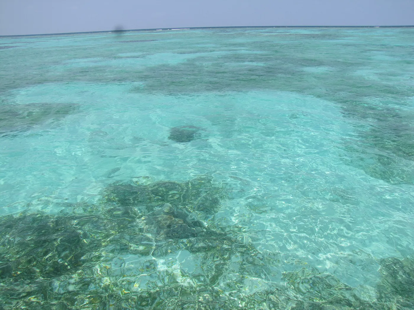 Lakshadweep Coral Islands - Agatti, Bangaram & Kadmat photo 3