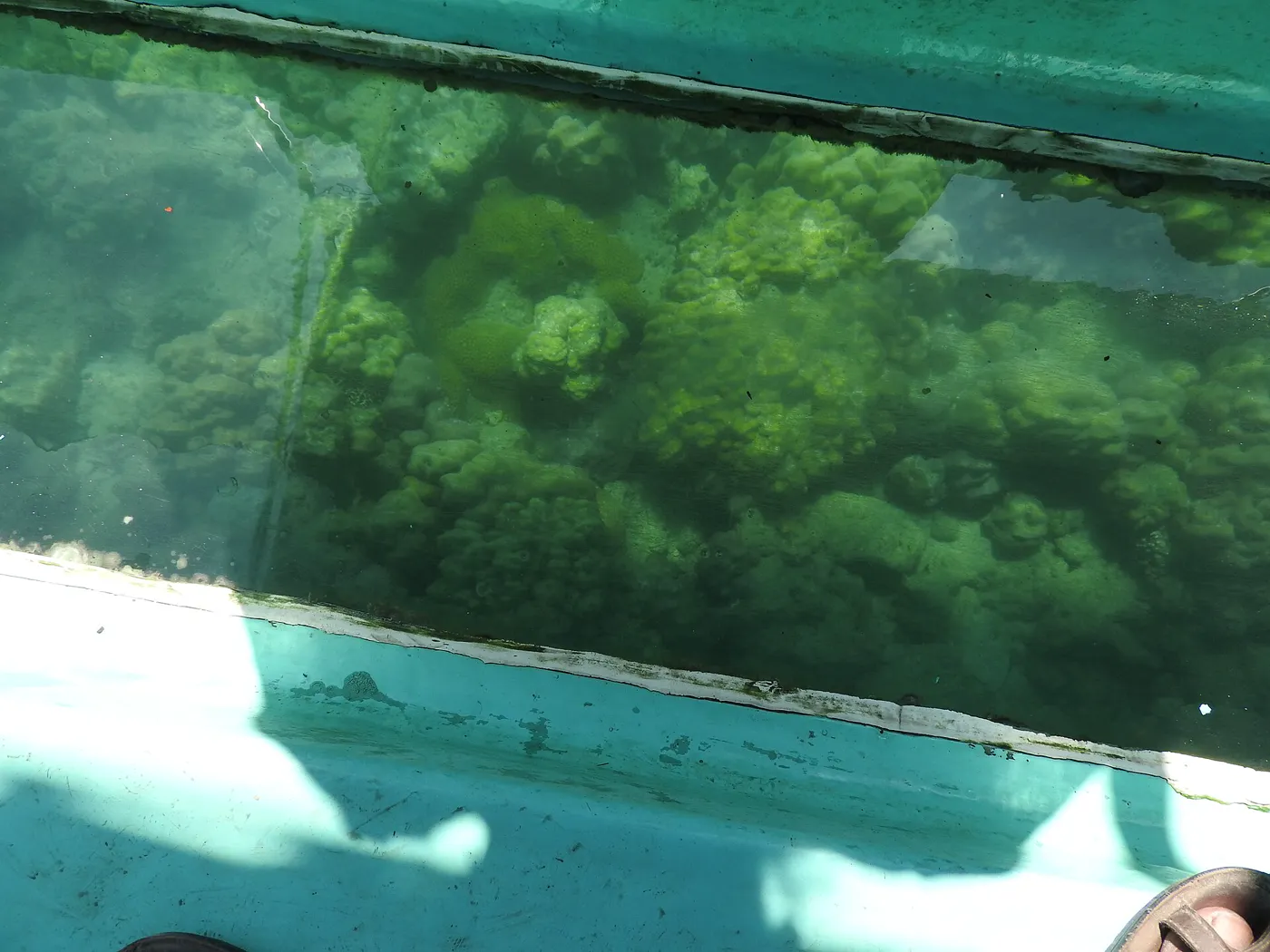 Andaman Islands gallery 6