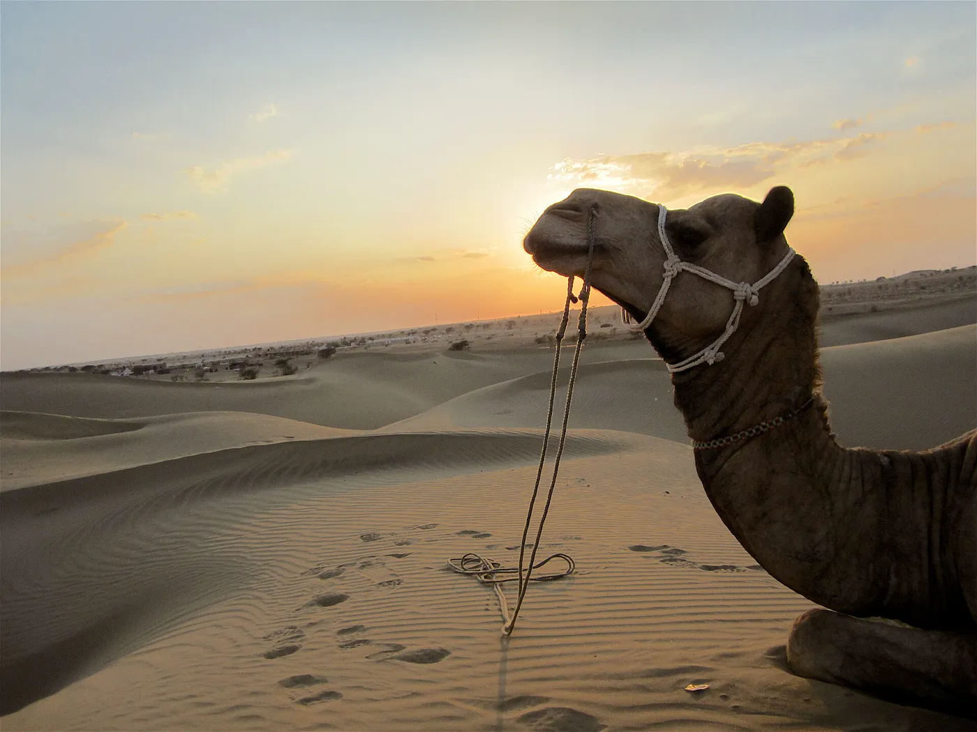 Desert safari adventure
