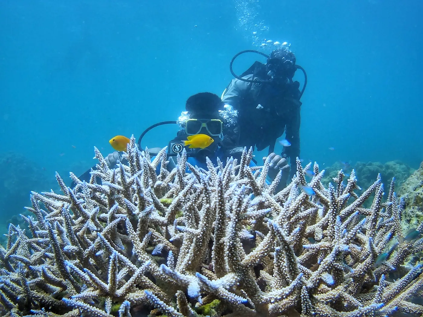 Andaman Islands gallery 1