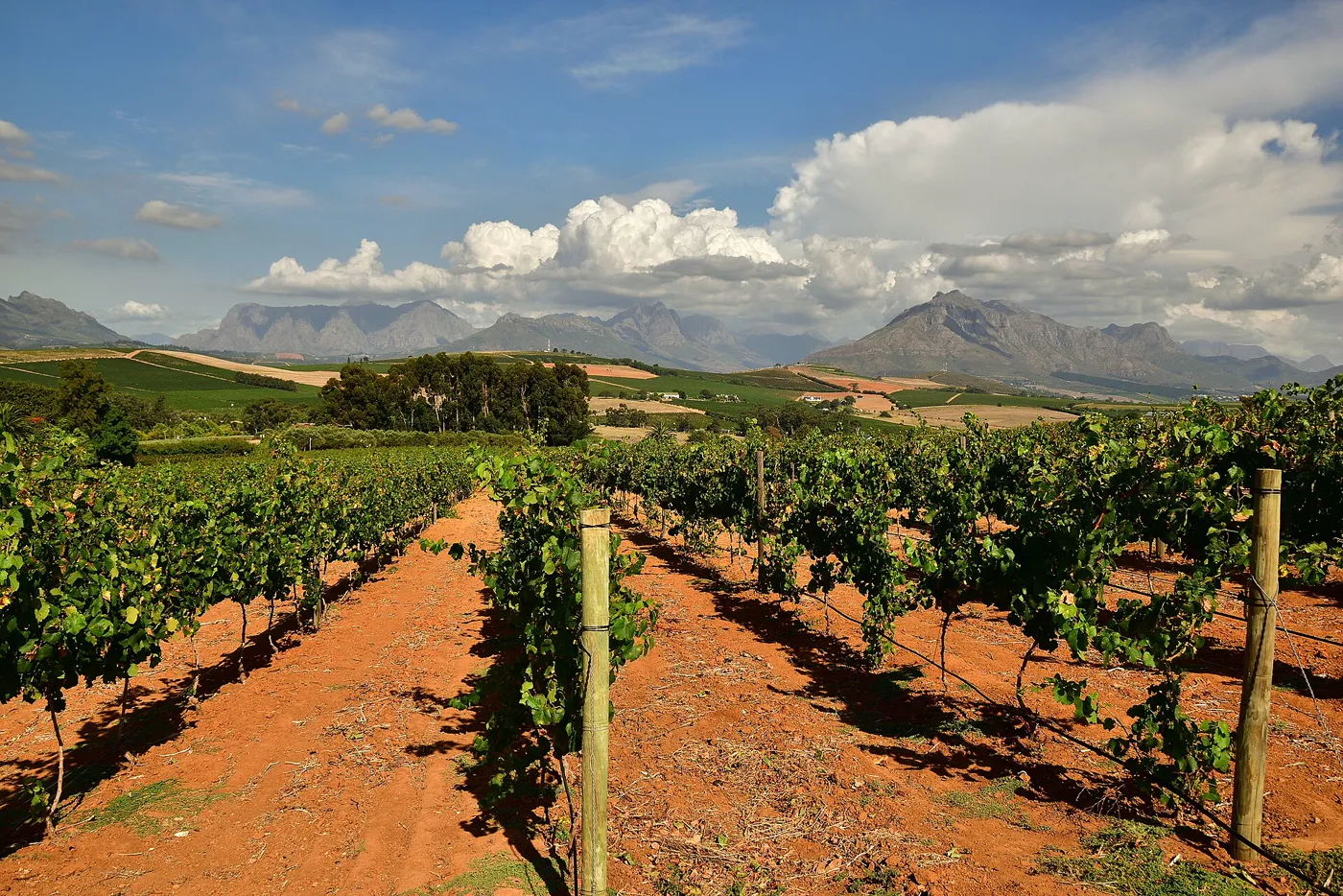 South Africa Highlights - Cape Town, Garden Route & Kruger Safari photo 2
