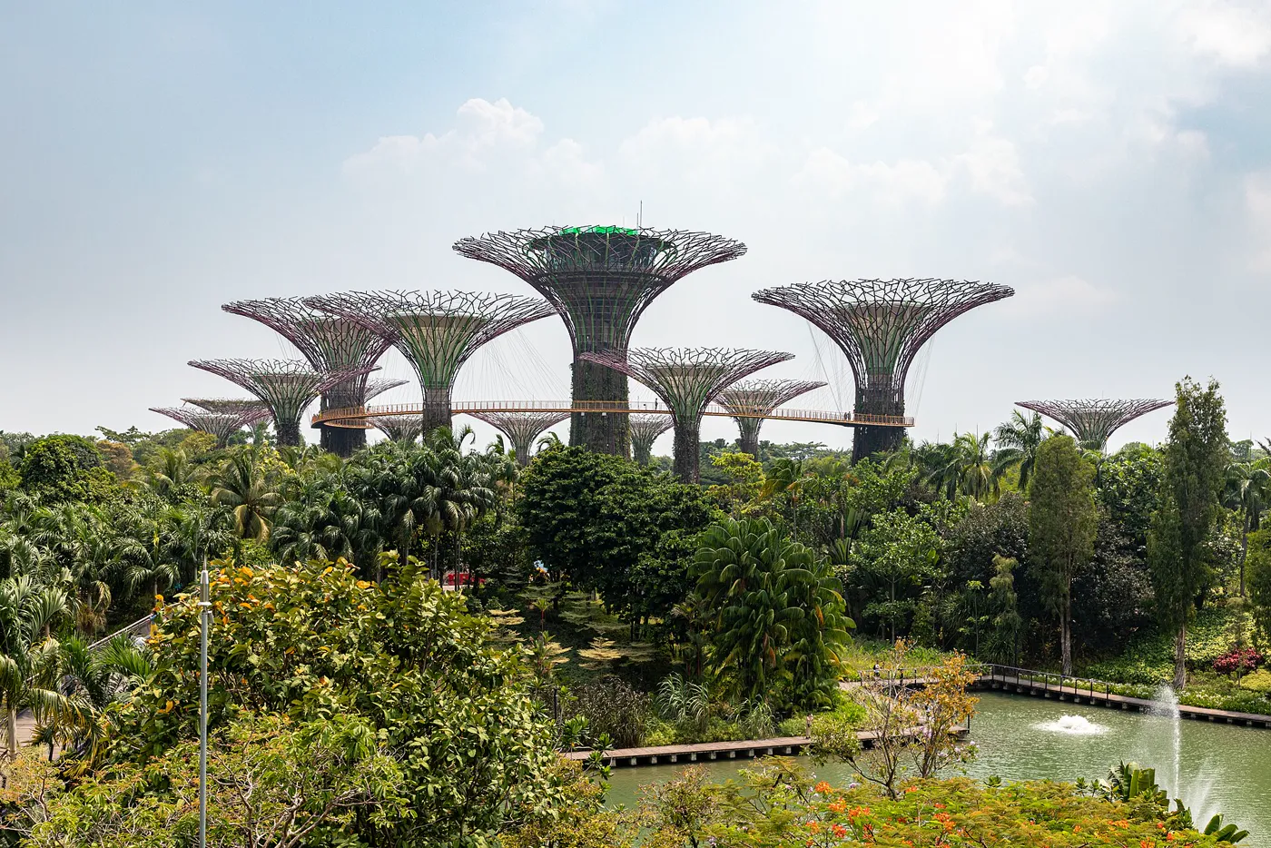 Singapore gallery 2
