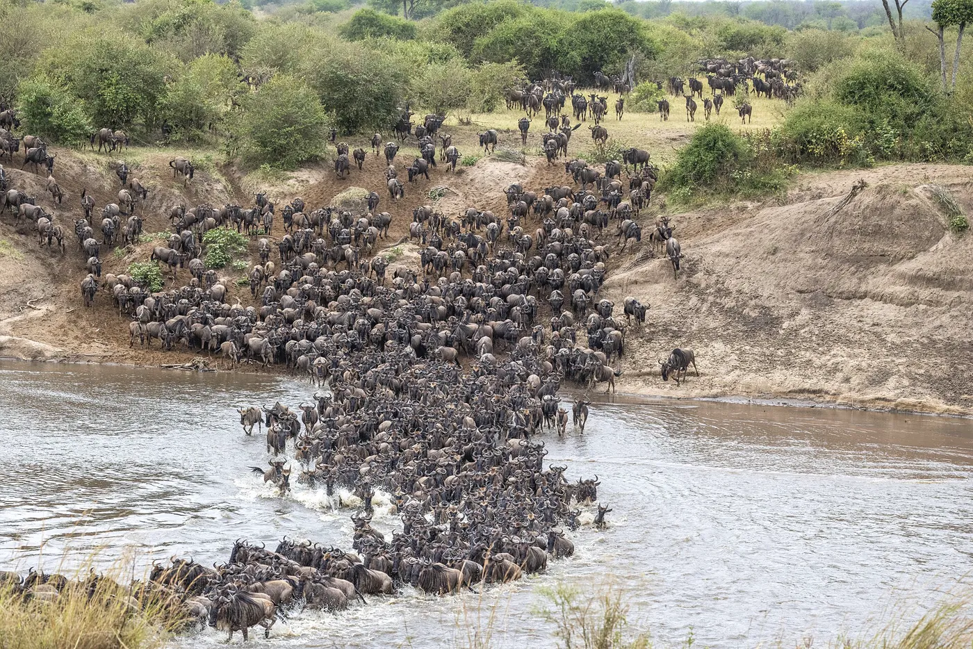 Kenya gallery 6