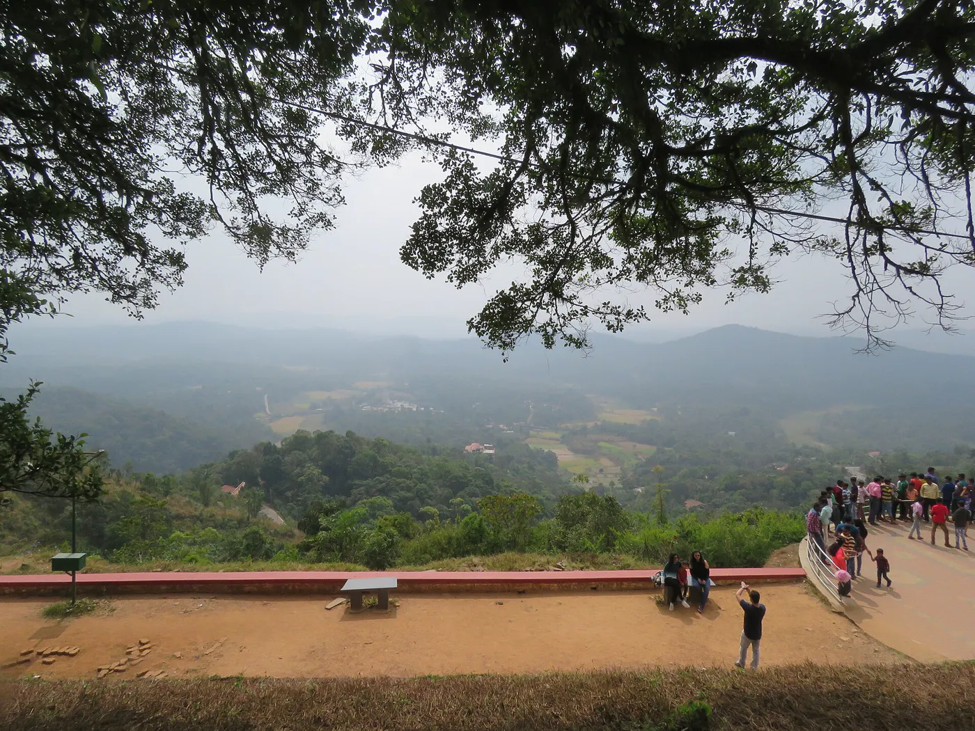 Coorg & Wayanad - Mysore, Coorg Plantations & Wayanad Wildlife